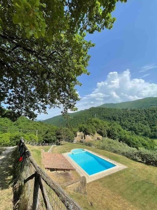 Il Colle - Apartment Pino Флоренция Экстерьер фото